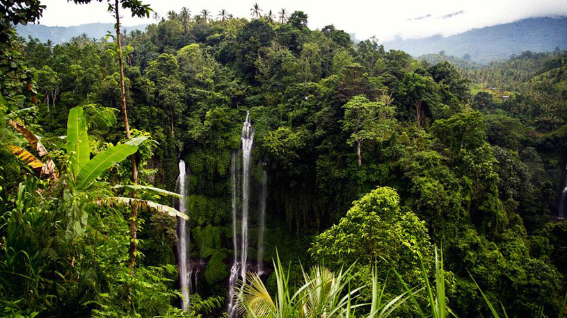 Mount Batur and Sekumpul Waterfall Trekking Tours