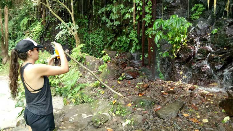 Sekumpul Waterfall Trekking